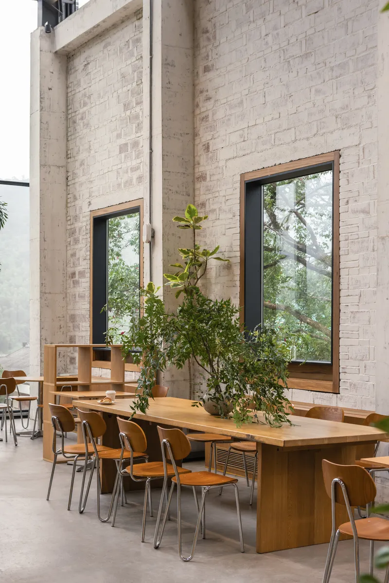 Double-height dining area with painted brick walls, timber communal table and potted trees under tall windows