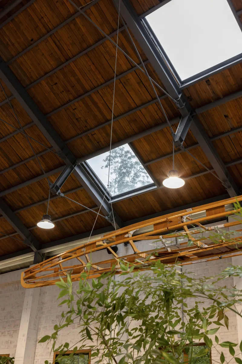 Timber ceiling with exposed steel beams, skylights and suspended pendant lights above hanging greenery