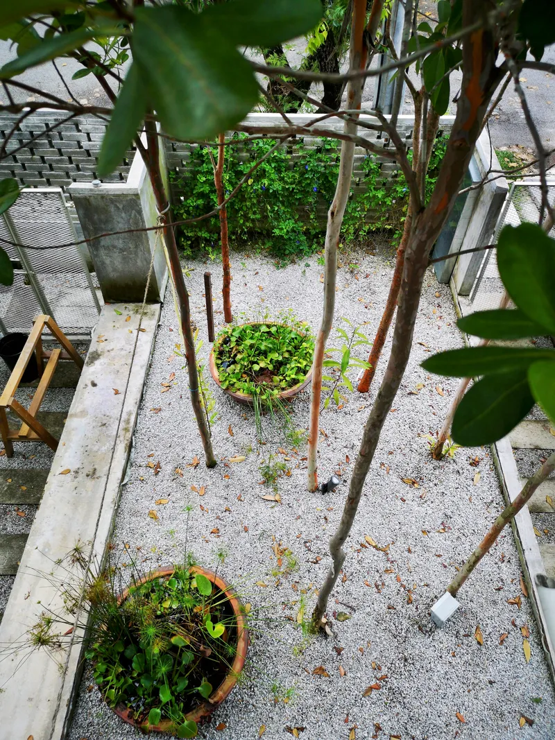Overhead view of internal courtyard with gravel floor, young trees, and planted pots among falling leaves