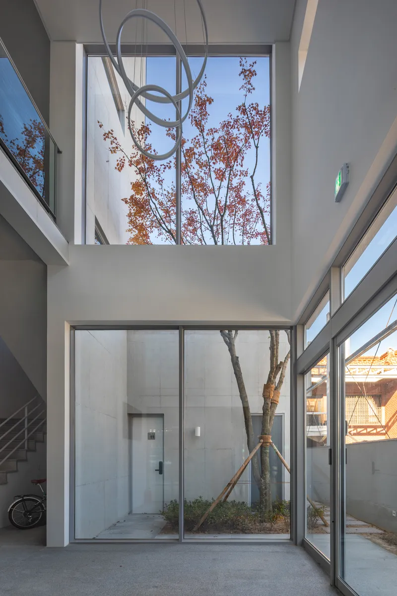 Double-height interior courtyard with floor-to-ceiling glazing framing a planted tree with autumn foliage
