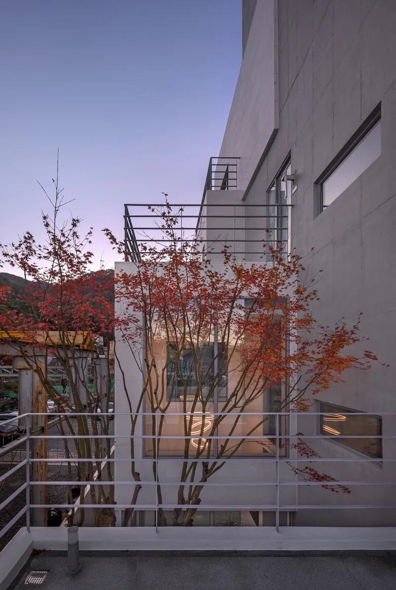 Exterior terrace with metal railings and planted trees with red autumn leaves at dusk