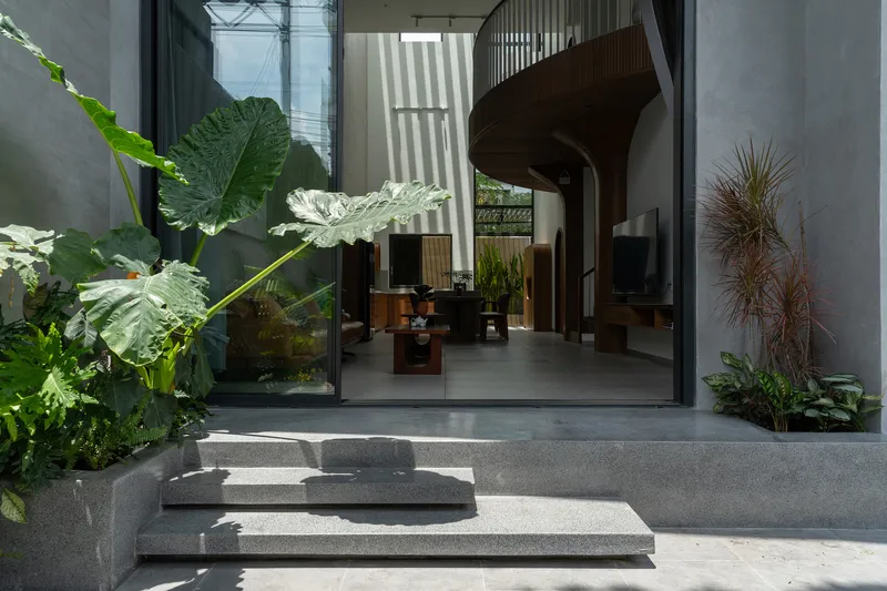 Concrete steps leading from courtyard through glazed opening into double-height interior with tropical plantings