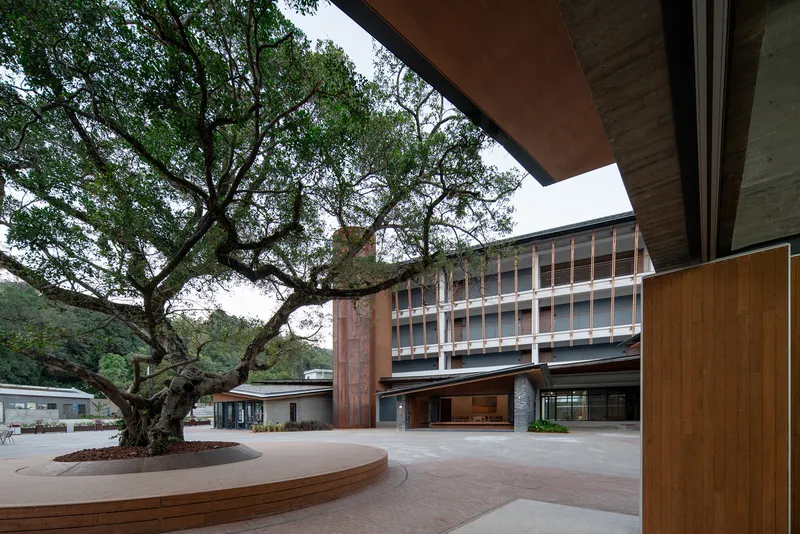 View across courtyard showing timber-screened facades and horizontal window bands framing the preserved tree
