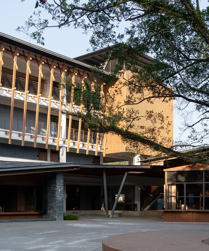 Exterior facade showing timber screen balconies and angled columns beneath overhanging tree branches at dusk