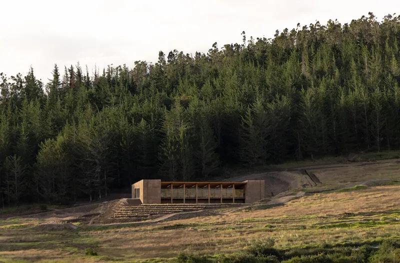 Timber-clad structure set into hillside terraces below dense eucalyptus forest at dusk