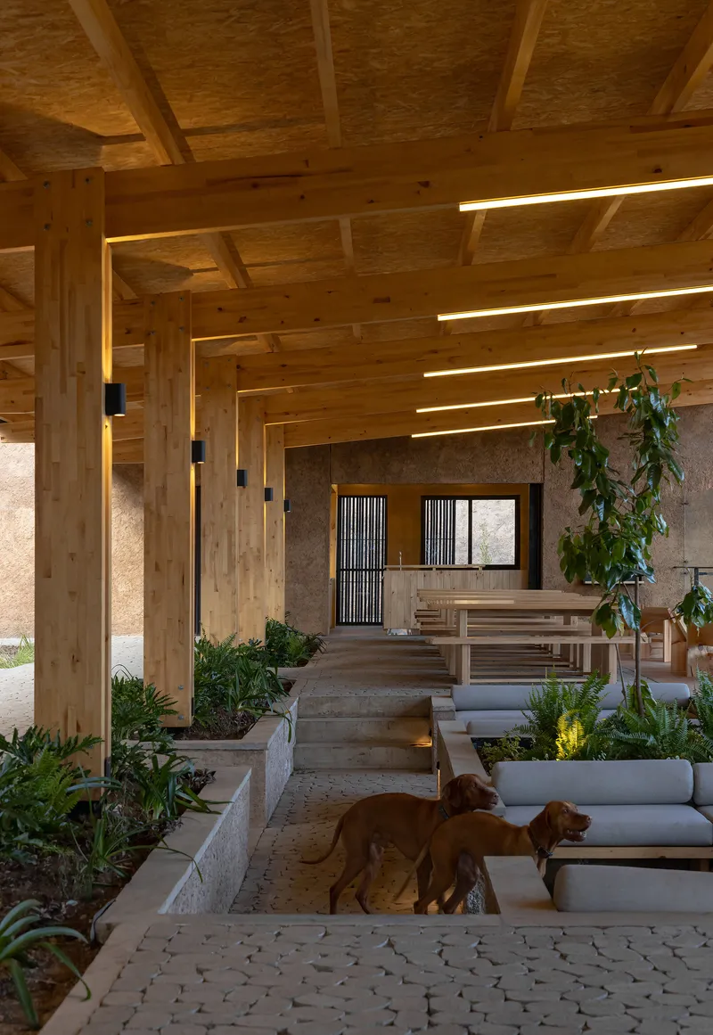 Interior courtyard with stepped planters, timber post-and-beam ceiling, and two dogs on paved floor