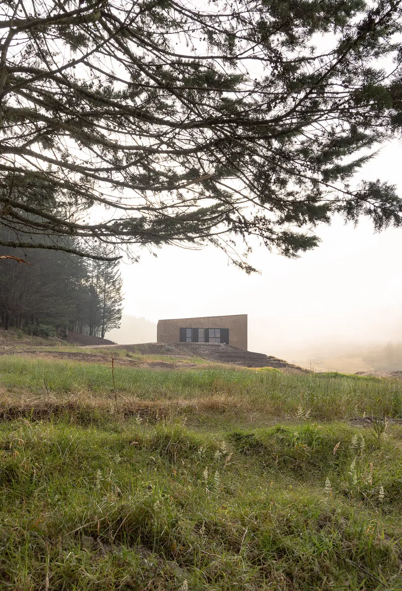 Rammed earth volume on grassy slope framed by pine branches in morning fog
