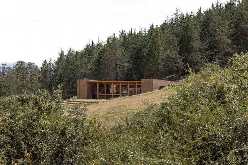 Angled view of the timber-framed pavilion nestled on a grassy slope with forest backdrop
