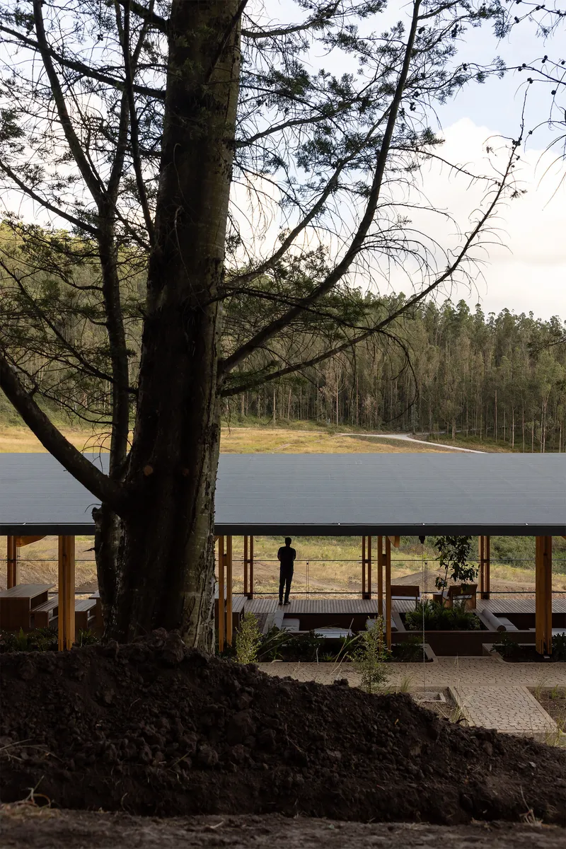 Broad roof canopy sheltering a paved terrace framed by an existing pine tree and forested hills