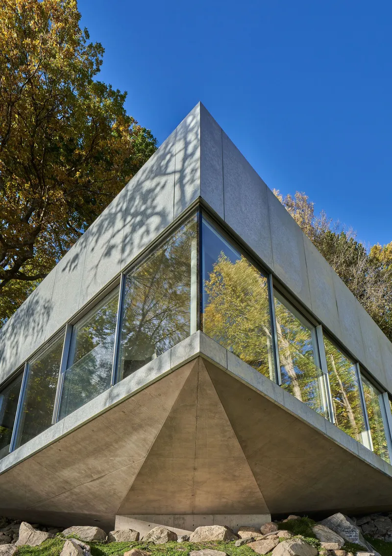 Corner elevation showing the cantilevered concrete volume with angled glazing beneath dappled tree shadows