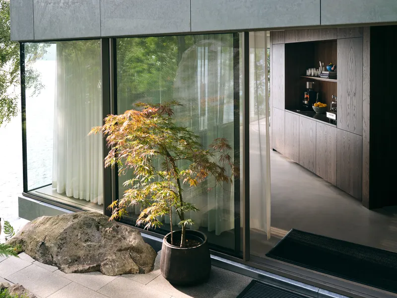 Exterior terrace with potted maple tree beside full-height glazing and grey stone cladding