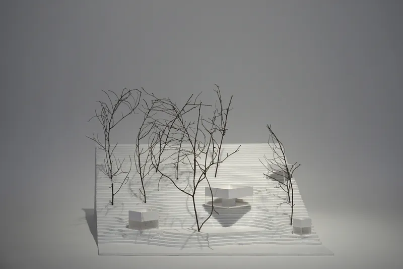 Physical model with layered white platforms and bare branch trees under diffused studio lighting