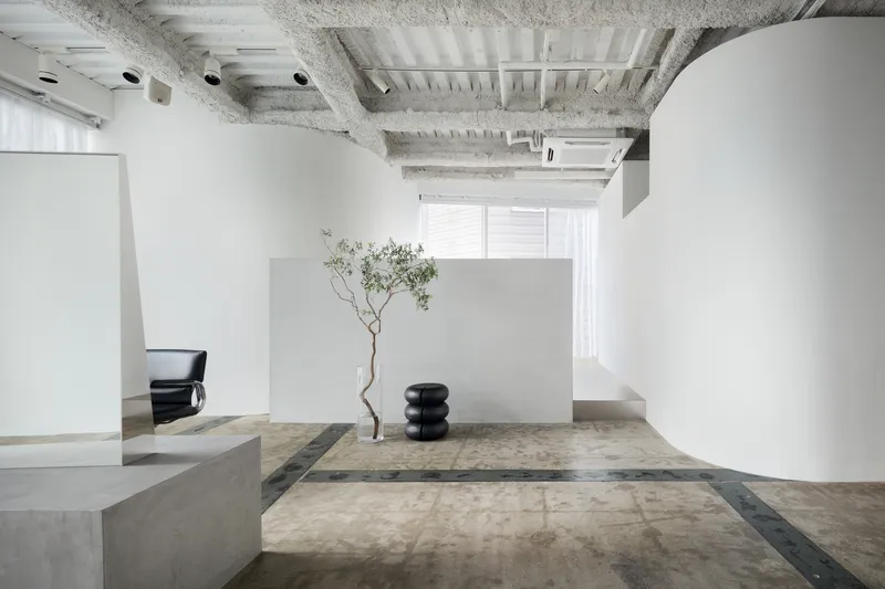Open salon floor with curved white volume, concrete platforms, and slender tree beside sheer curtains