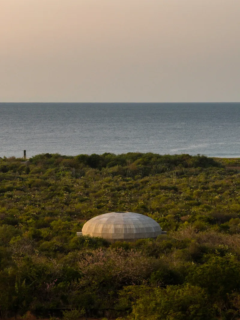 Low dome clad in horizontal timber slats nestled in coastal vegetation with ocean horizon beyond