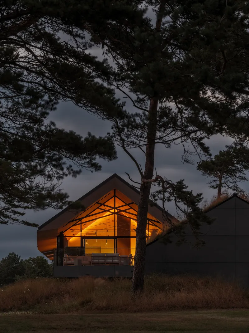 Illuminated timber-clad gable framed by pine trees in a field at nightfall