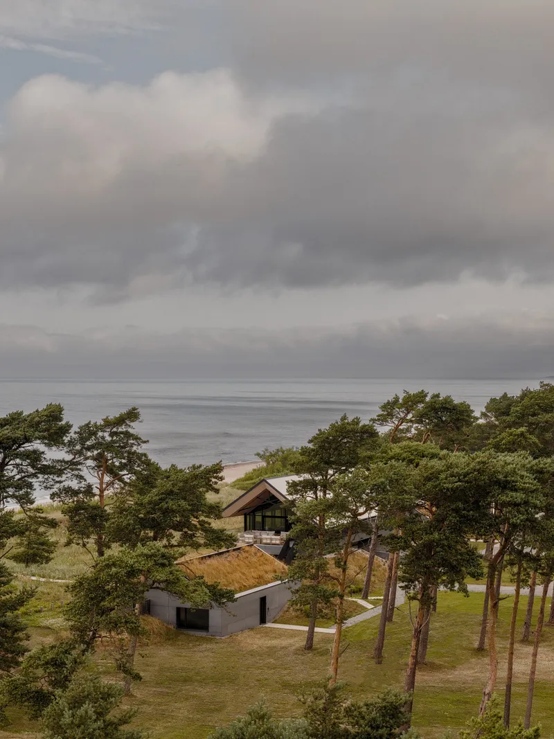 Aerial perspective of the clustered volumes nestled among pine trees overlooking the grey coastal waters