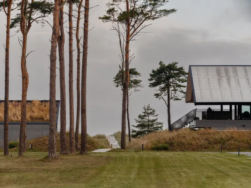 Gabled volume with corrugated metal roof rising above pine trees and dry grasses on an overcast day
