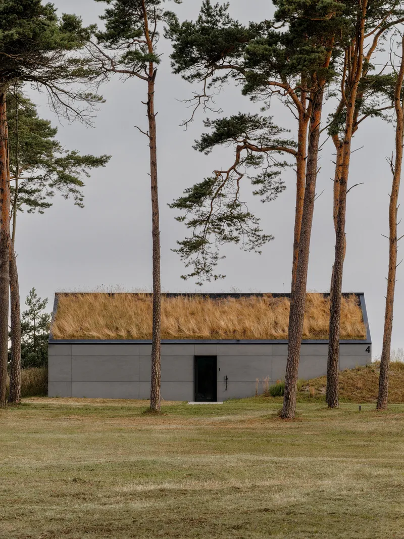 Front facade with thatched roof and grey panel cladding framed by tall pine trees