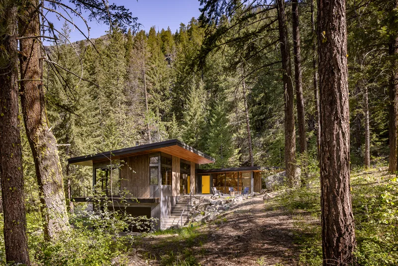 Timber-clad residence with flat roof and elevated walkway nestled among tall conifers in dappled sunlight
