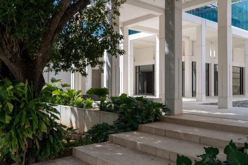 Stone steps ascending toward a columned colonnade with planters beneath a large tree