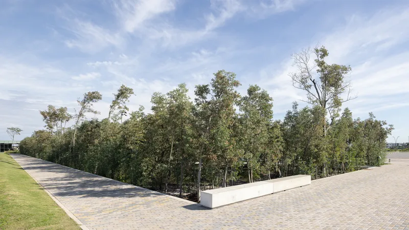 Edge of a paved plaza meeting a sunken wooded area with scattered trees and grass