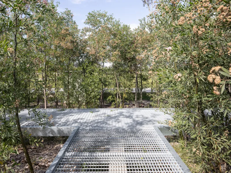 Metal grate platform extending into a woodland clearing with leaf litter and saplings