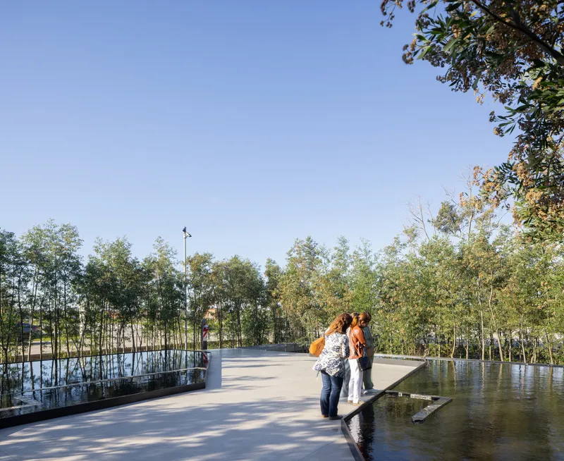 Elevated concrete pathway with reflecting pools and birch grove under midday sun
