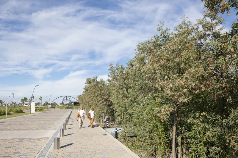 Pedestrian promenade with metal railings and low planters alongside dense tree canopy
