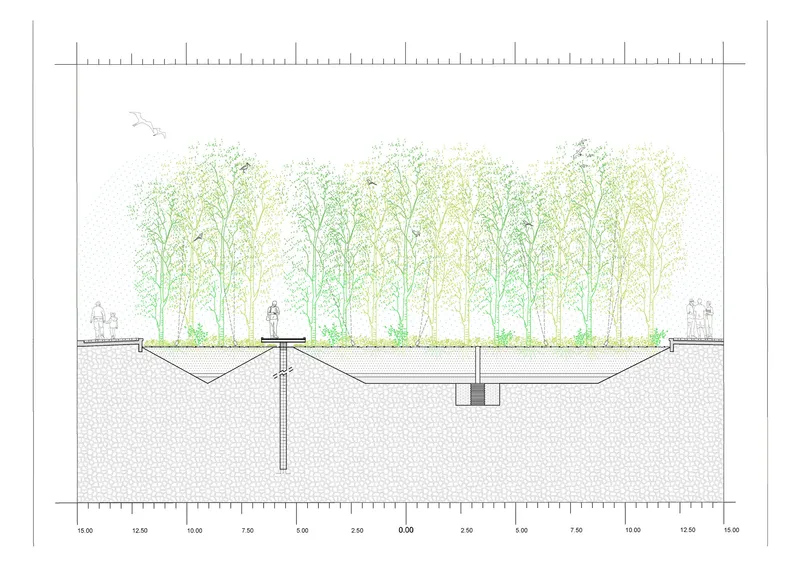 Section drawing showing planted deck over excavated chamber with central drainage and root systems
