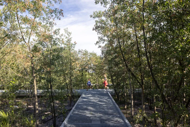 Perforated metal walkway threading through dense woodland with visitors in dappled sunlight