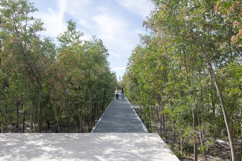 Elevated boardwalk rising through mangrove canopy with figures beneath scattered clouds