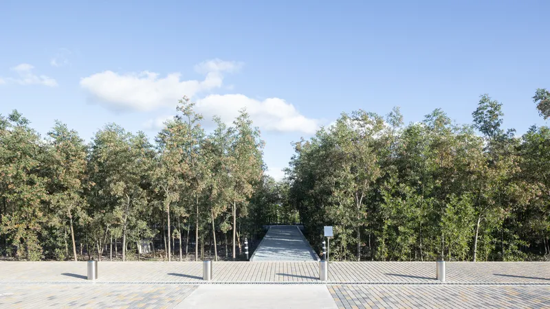 Metal grate walkway leading into a dense grove of trees under a blue sky with clouds