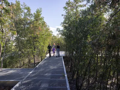 Estudio Bulla Invents a Forest of 2,500 River Alders for a Museum Campus Outside Buenos Aires