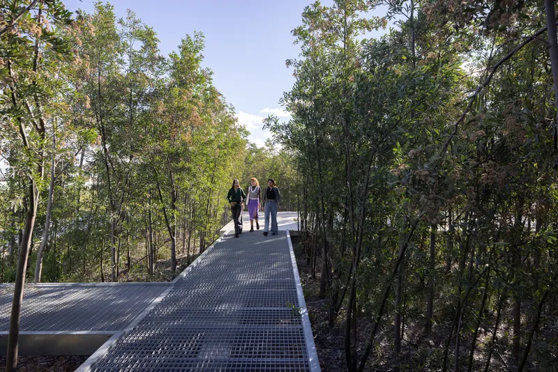 Elevated metal mesh walkway with three visitors walking through a canopy of trees