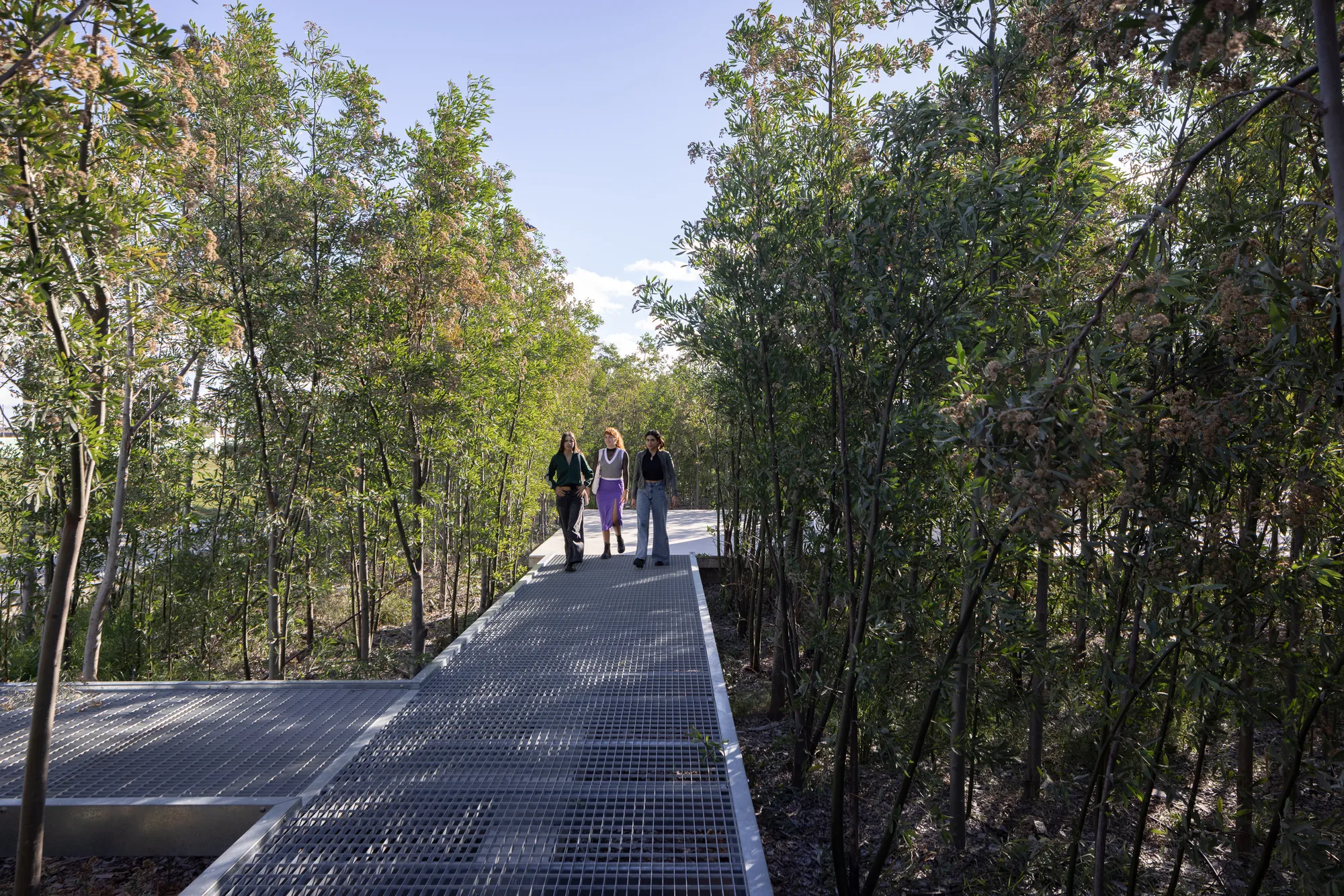 Estudio Bulla Invents a Forest of 2,500 River Alders for a Museum Campus Outside Buenos Aires