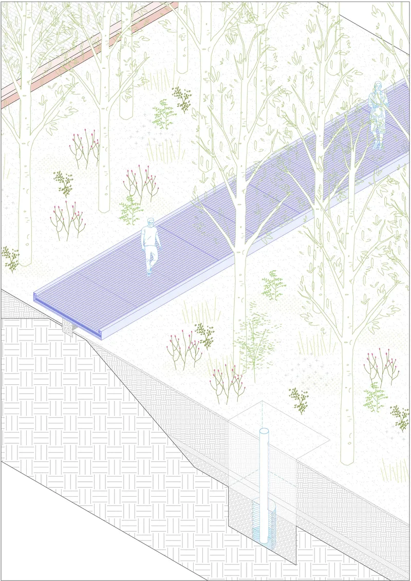 Axonometric drawing showing a raised pathway through a planted courtyard with scattered trees and rendered paving