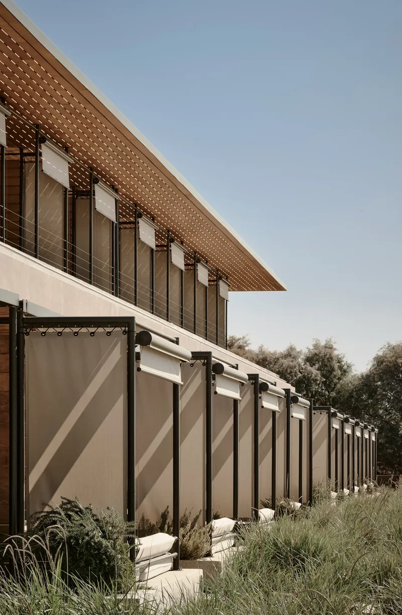 Perforated timber soffit overhanging folding canvas screens and planted terrace beds