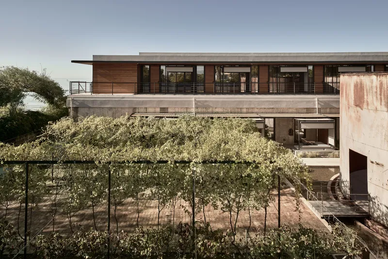 Horizontal timber-clad volume elevated above terraced vineyard with concrete retaining walls