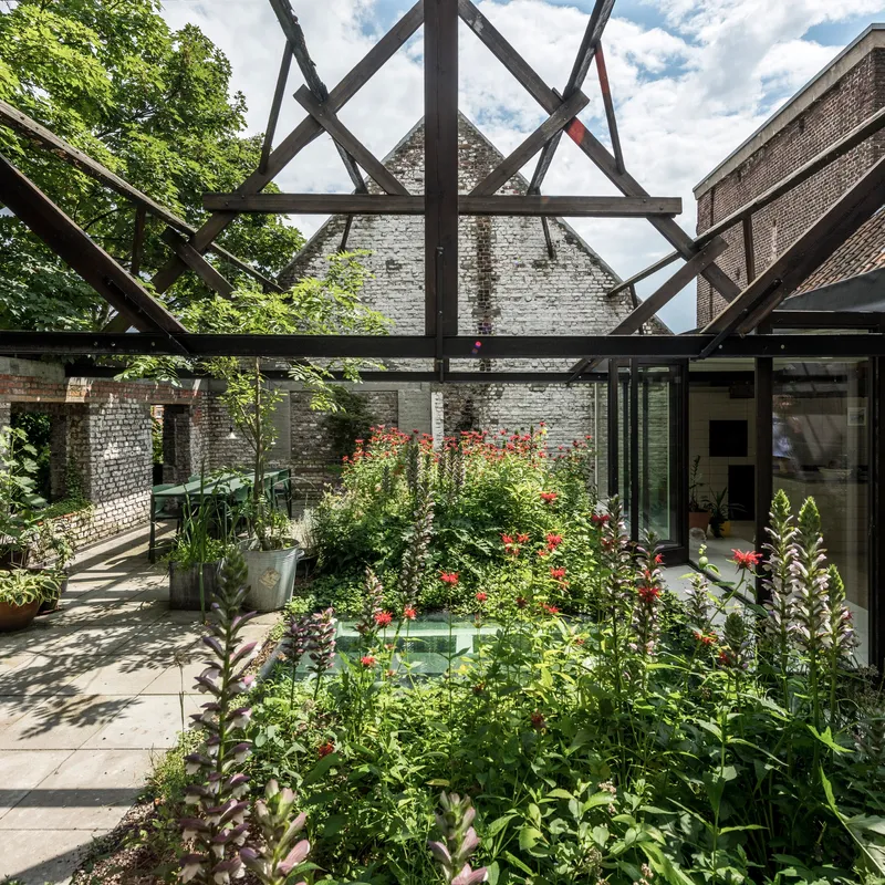 Planted courtyard garden under a steel-framed pergola structure with white brick walls beyond