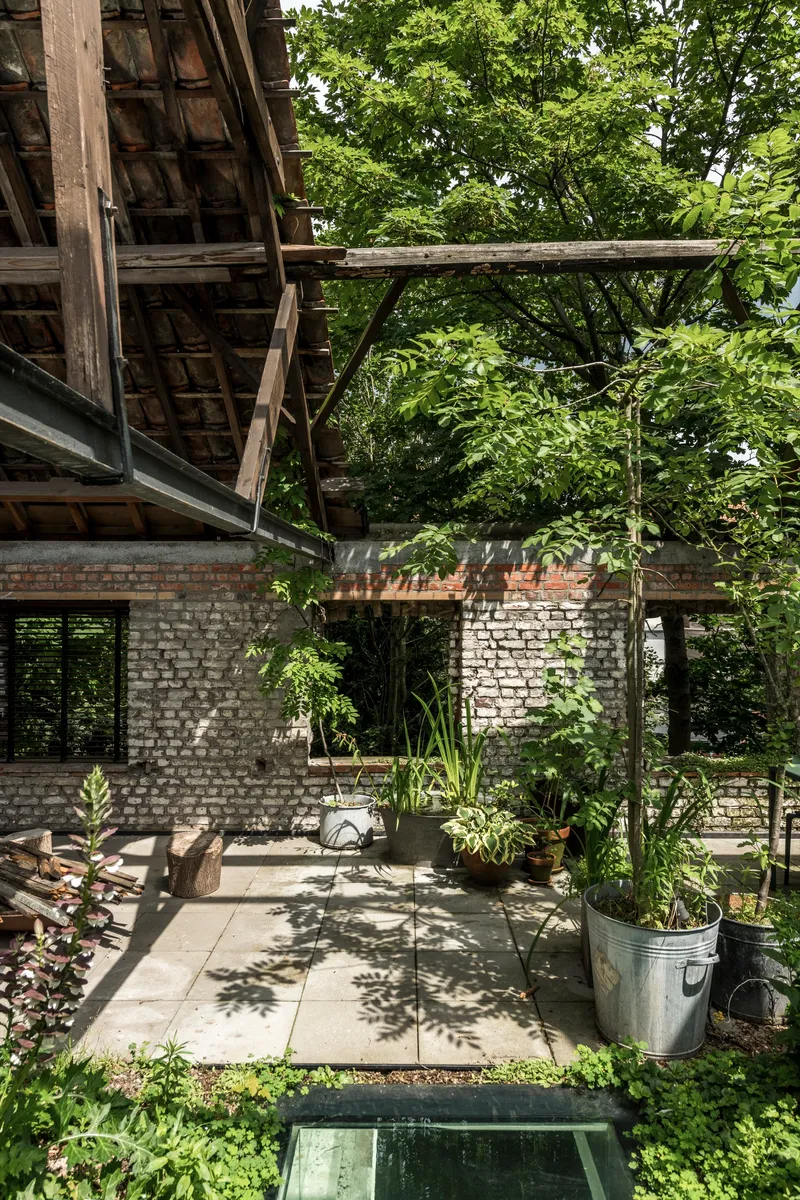 Courtyard terrace with planted pots and paving slabs beneath exposed timber roof structure and green canopy
