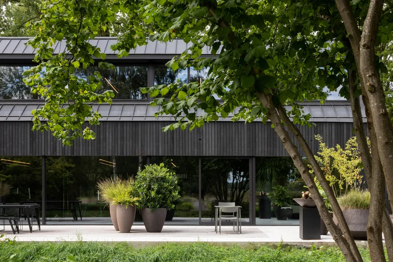 Glazed ground floor beneath vertical charred timber cladding with potted grasses and a multi-stemmed tree in foreground