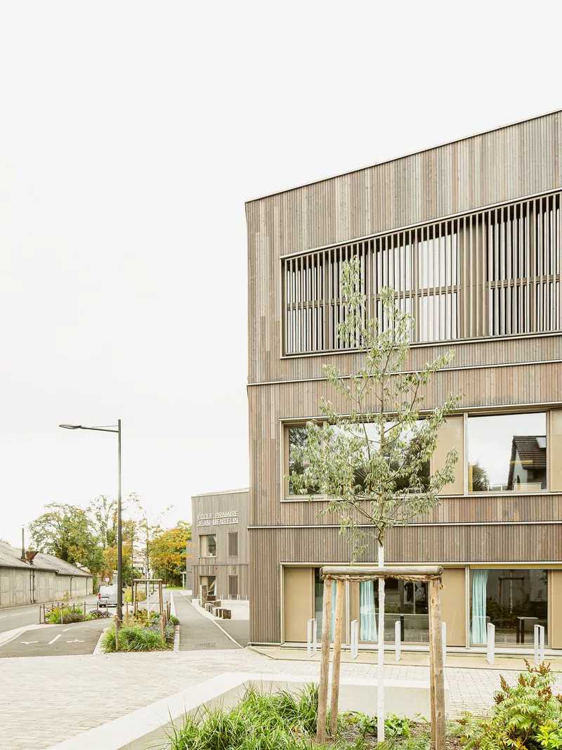 Corner facade showing vertical timber louvers shading the upper windows with a young tree in front