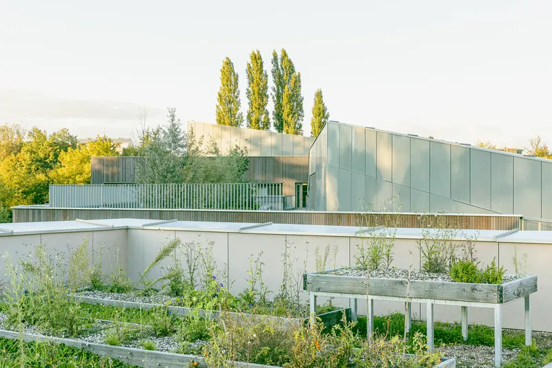 Rooftop garden with raised planting beds, metal cladding and tall poplar trees in the background