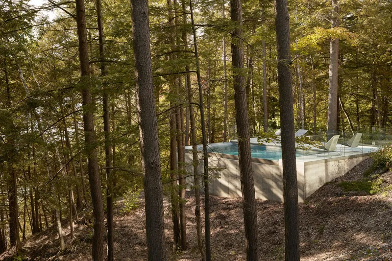 Elevated concrete pool terrace viewed through the vertical trunks of the surrounding forest