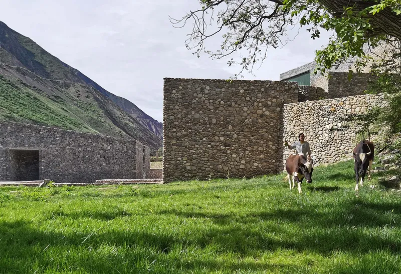 Two horses grazing in the lawn courtyard surrounded by stone walls under tree branches