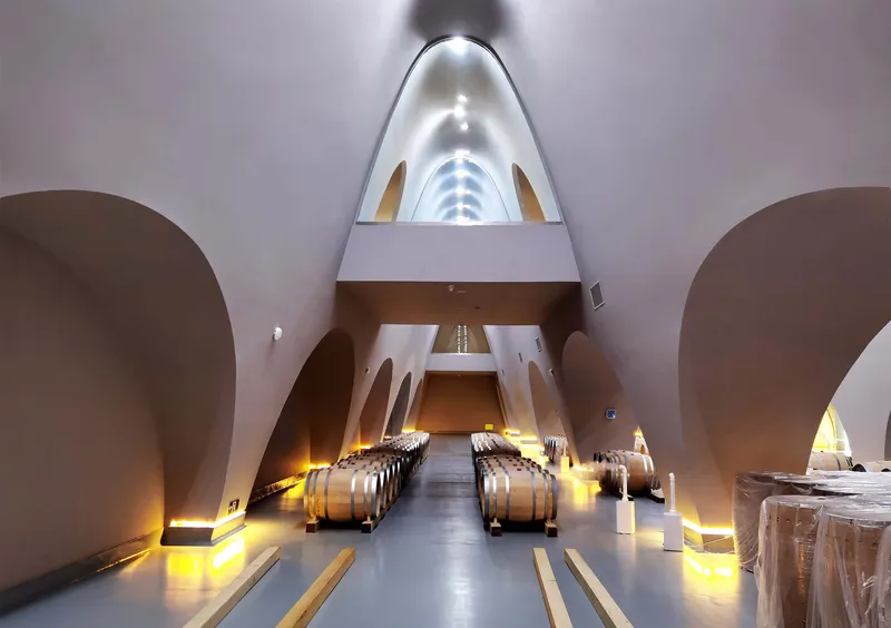 Vaulted cellar interior with rows of wooden barrels flanking a central aisle lit by amber uplights