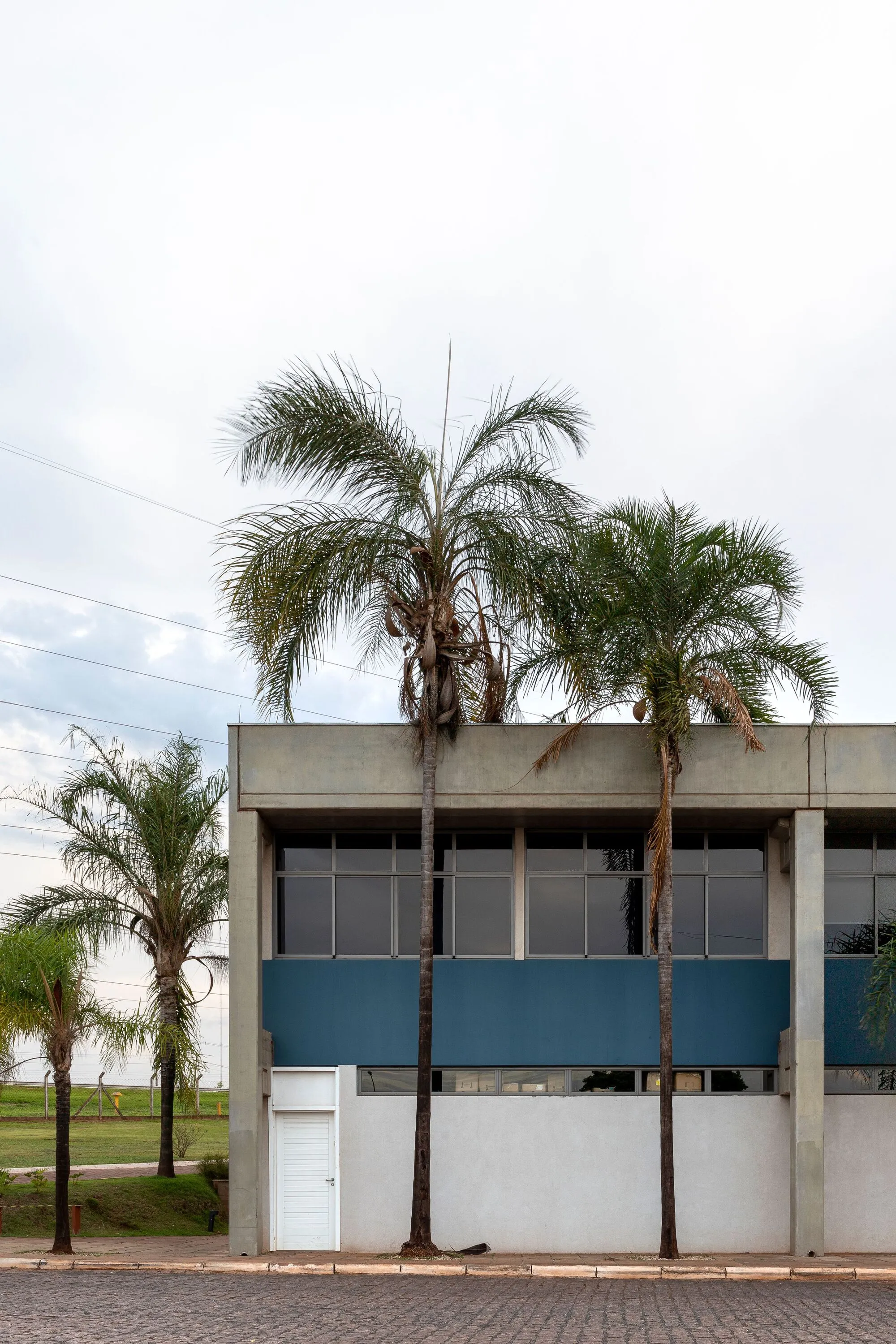 Estúdio Cidade Builds a Landscaped Office Oasis Inside a Brazilian Fuel Depot