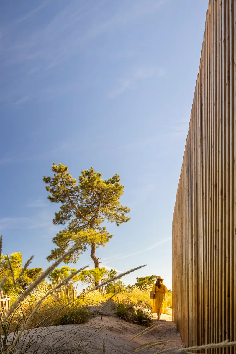 Vertical timber slat screen beside a pine tree with figure in yellow walking through planted dunes