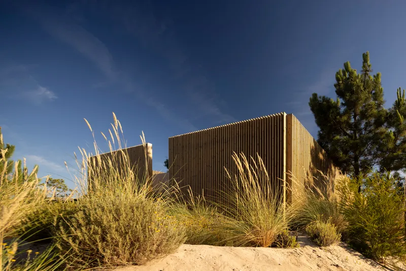 Timber-clad volume rising from sandy dune landscape with native grasses in golden afternoon light
