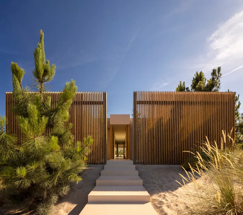 Entry pathway framed by vertical timber slats and planted pines under blue sky